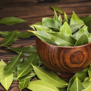 Bay Leaf